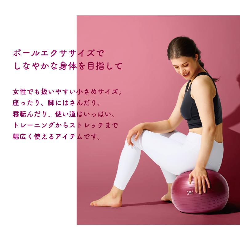バランスボール 黄色 エクササイズボール65cm WBF065 ALINCO FITNESS